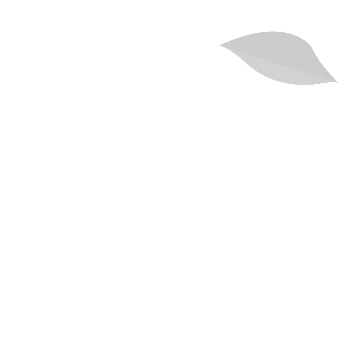 Kevin Ngo logo - Professional software engineer branding